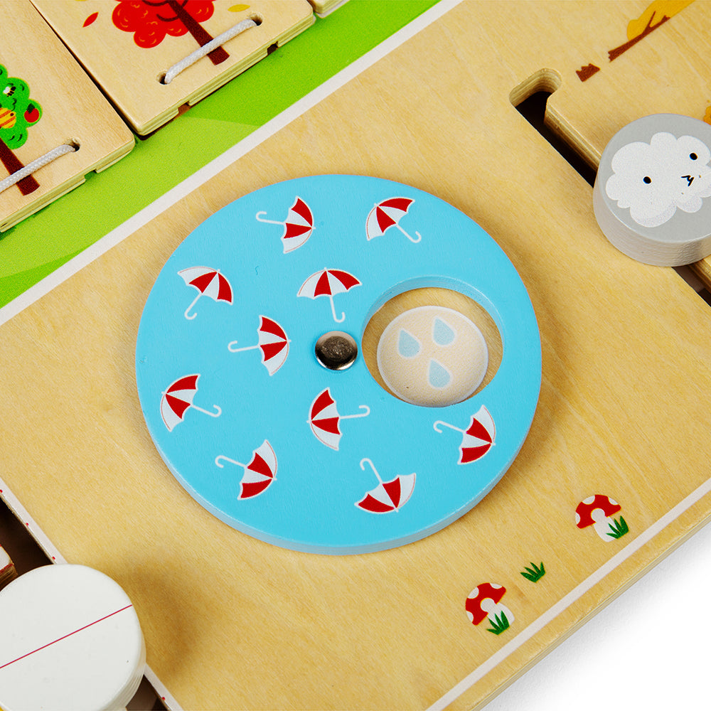 Bigjigs Wooden Weather Board