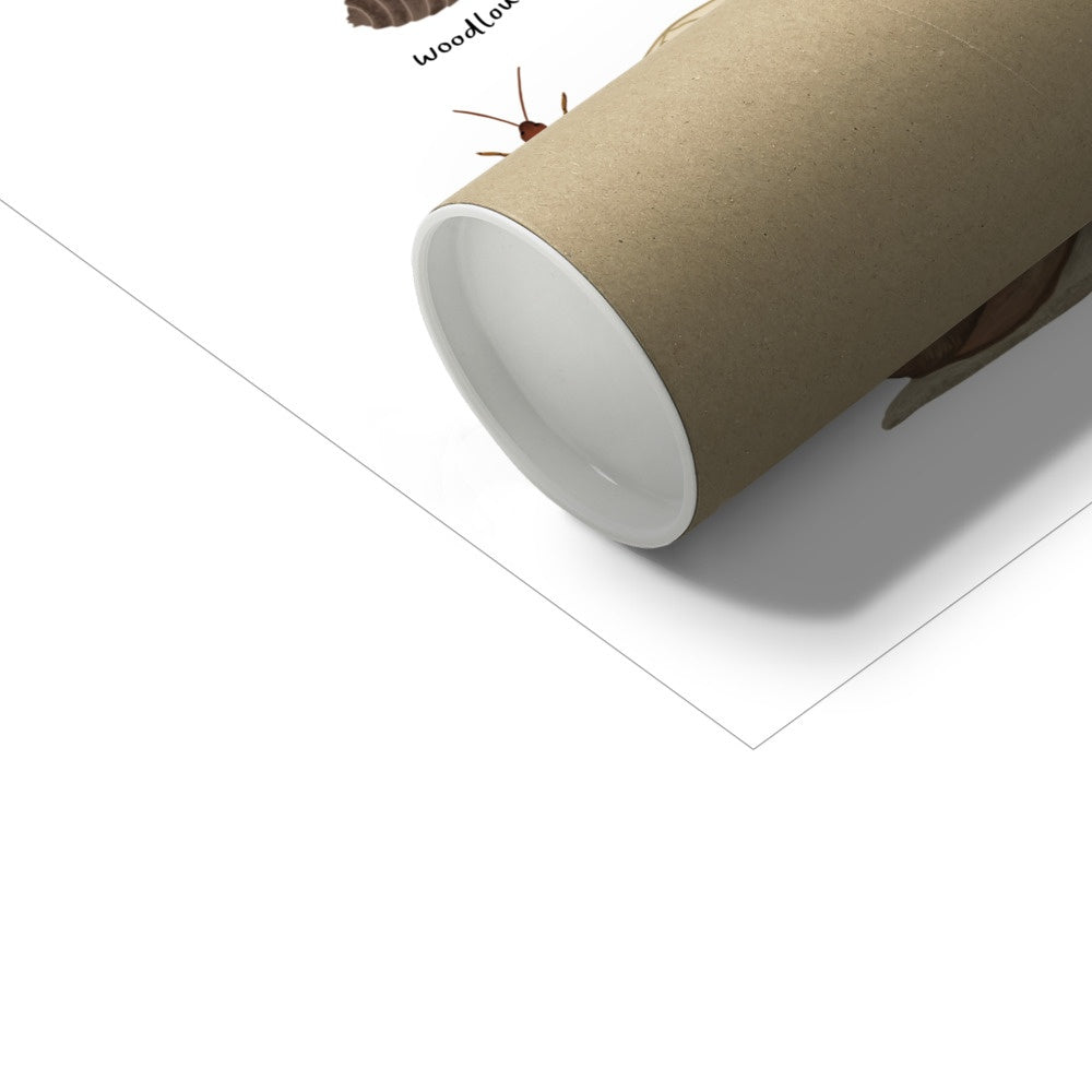 Kid of the Village Minibeasts Art Print - White