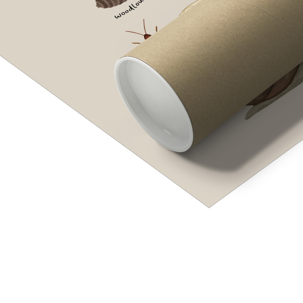 Kid of the Village Minibeasts Art Print - Stone