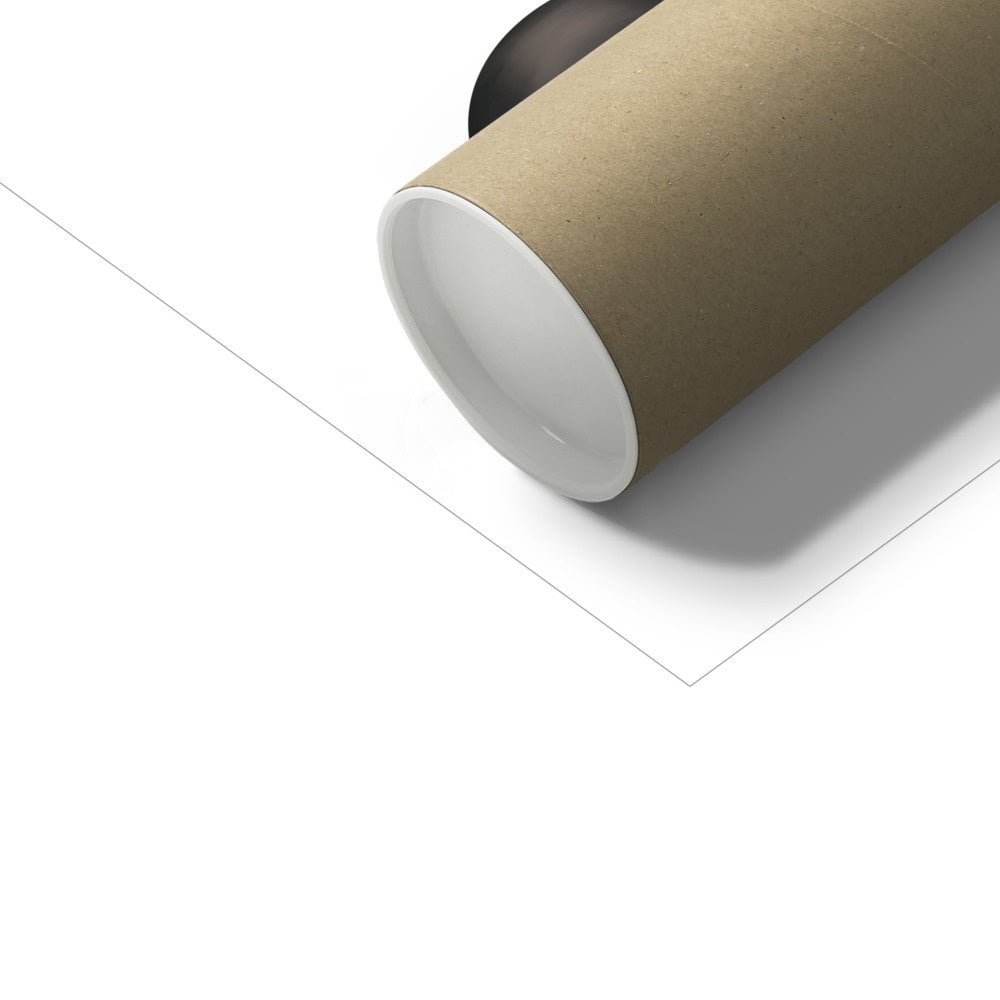 Sports Balls Art Print in White by Kid of the Village (6 Sizes Available)