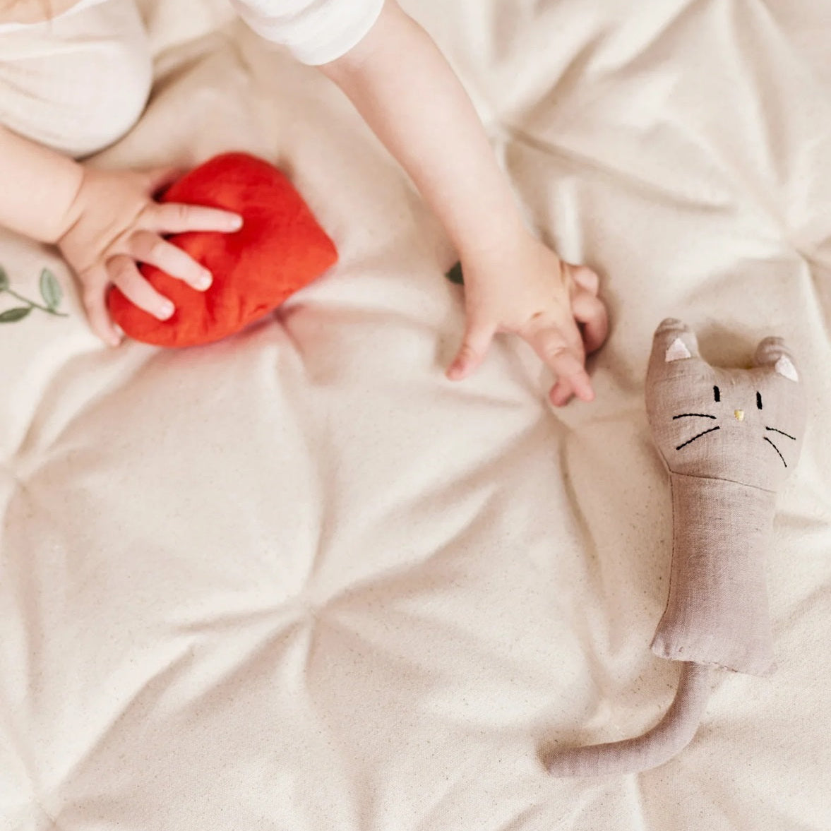 Dear April Henry Cat Rattle