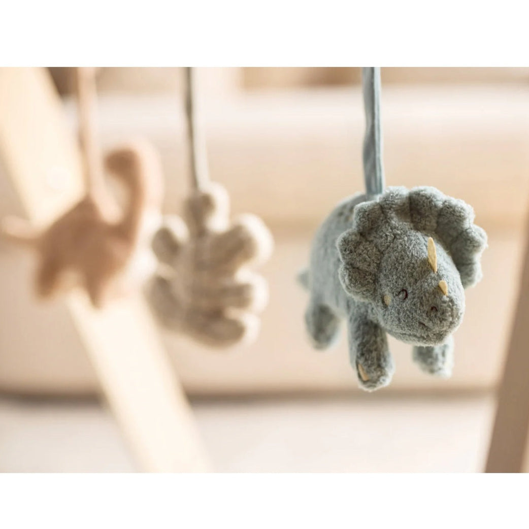 Jollein Baby Gym Toys - Roarsome