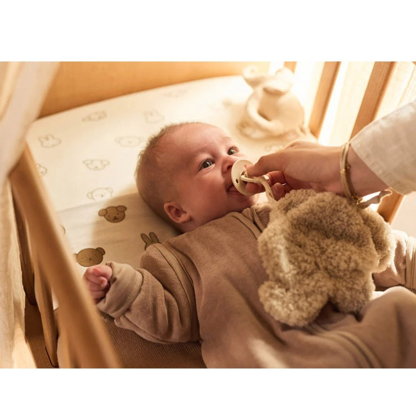 Jollein Pacifier Cloth - Elephant Tales