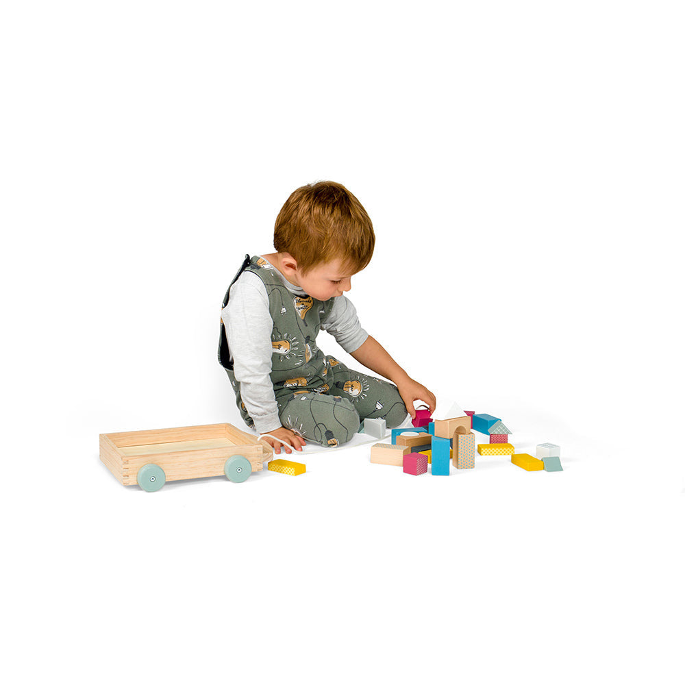 Bigjigs Wooden Pull-Along Brick Cart