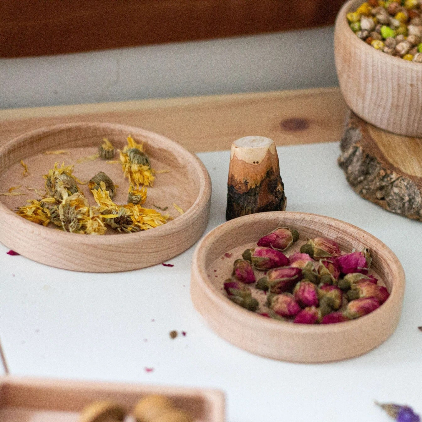 Wooden Circle Sorting Trays by The Little Coach House