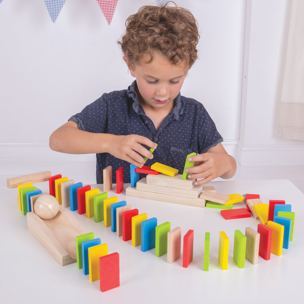 Bigjigs Wooden Domino Run Set