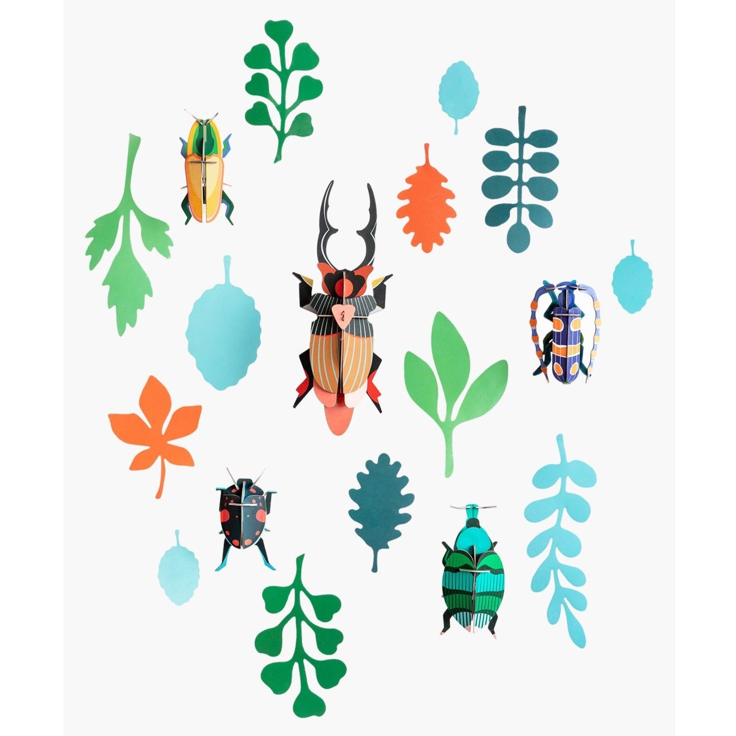 Studio Roof 3D Model Wall Decor - Wall of Curiosities - Beetle Antiquary