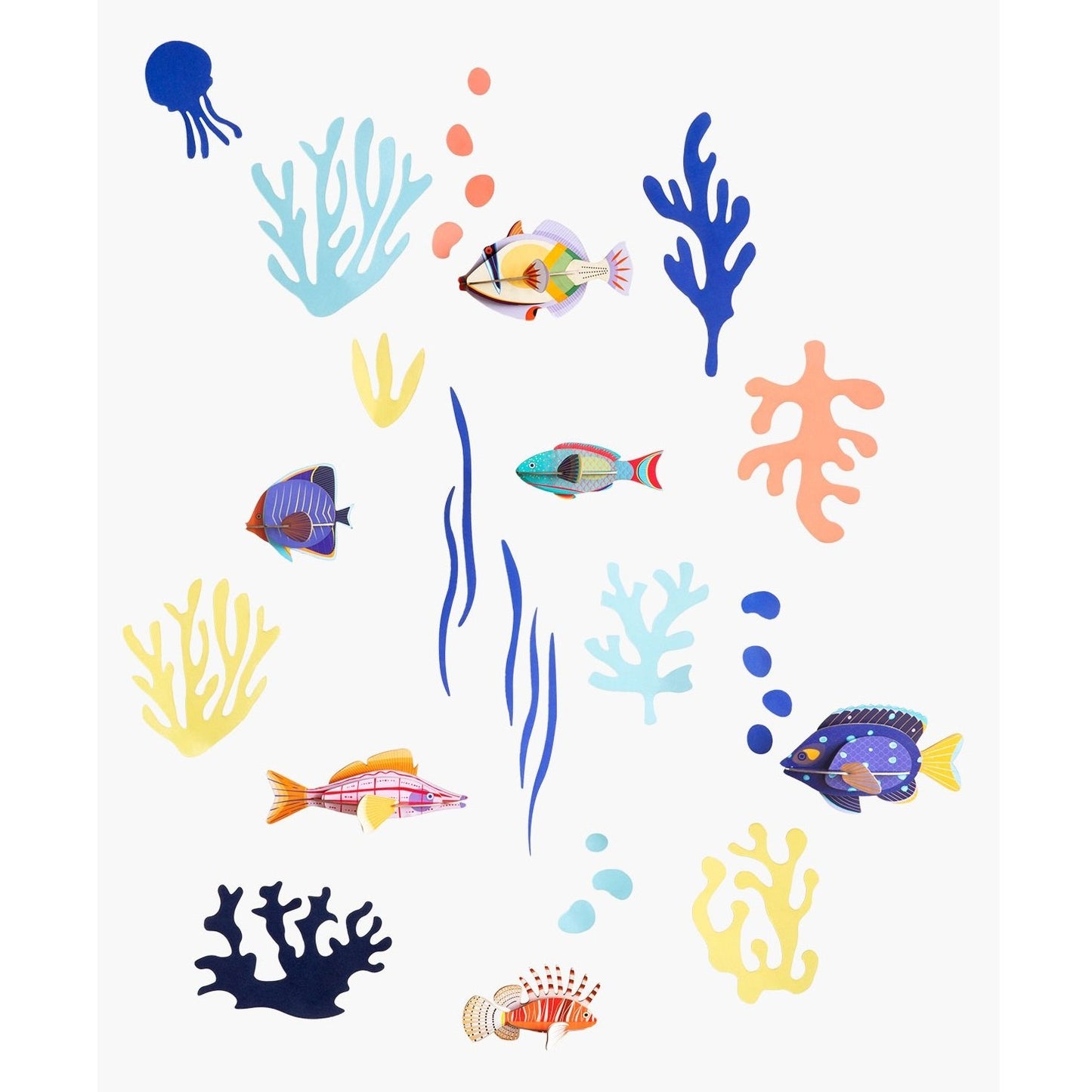 Studio Roof 3D Model Wall Decor - Wall of Curiosities - Fish Hobbyist