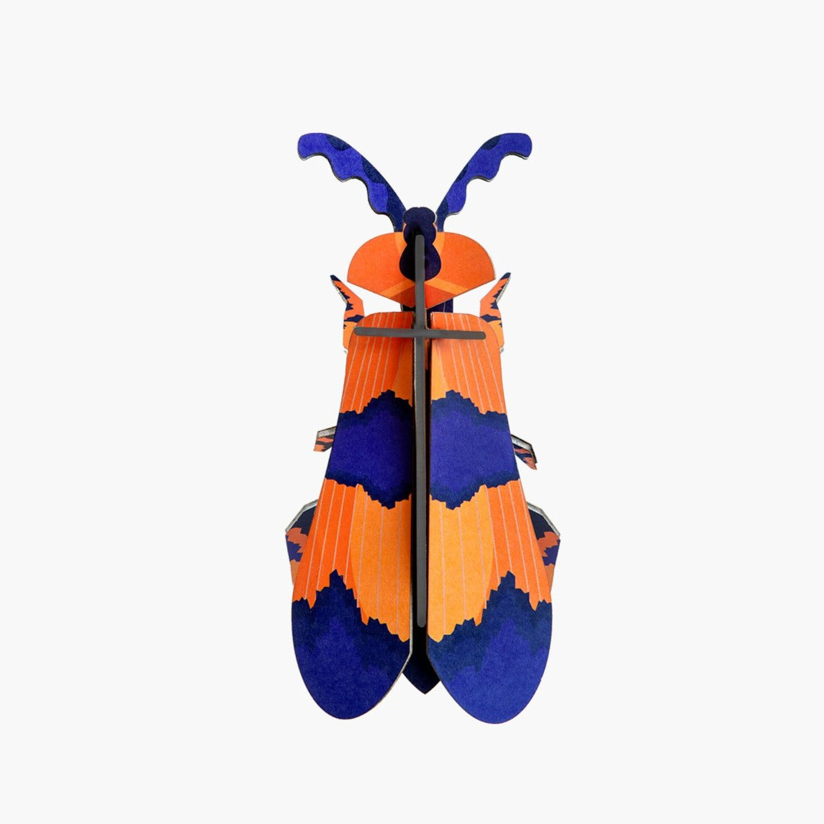 Studio Roof 3D Model Wall Decor - Winged Beetle