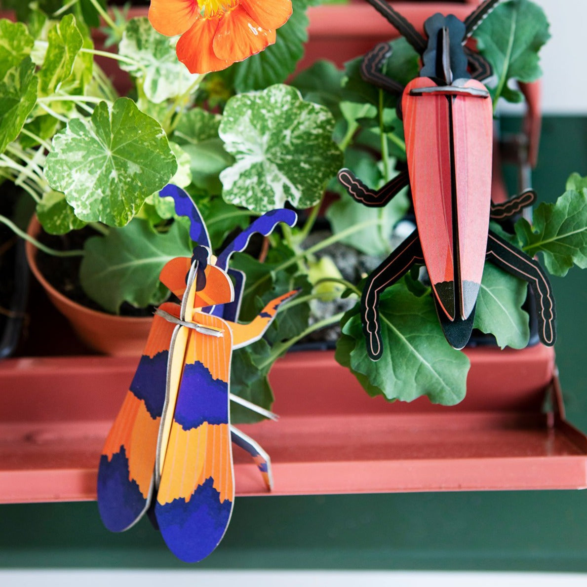 Studio Roof 3D Model Wall Decor - Winged Beetle
