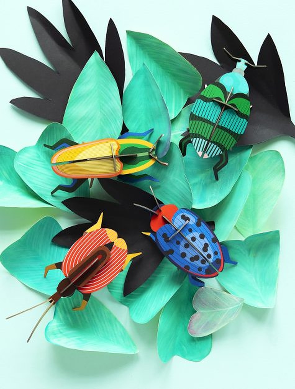 Studio Roof 3D Model Wall Decor - Fungus Beetle
