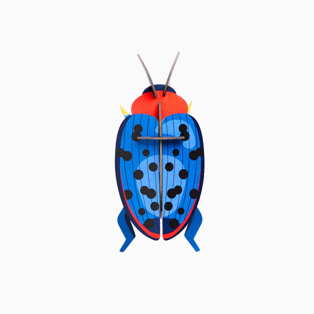 Studio Roof 3D Model Wall Decor - Fungus Beetle