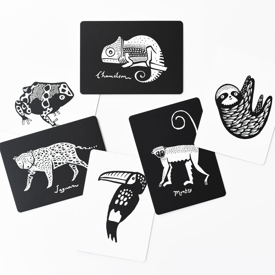 Wee Gallery Art Cards for Baby - Rainforest