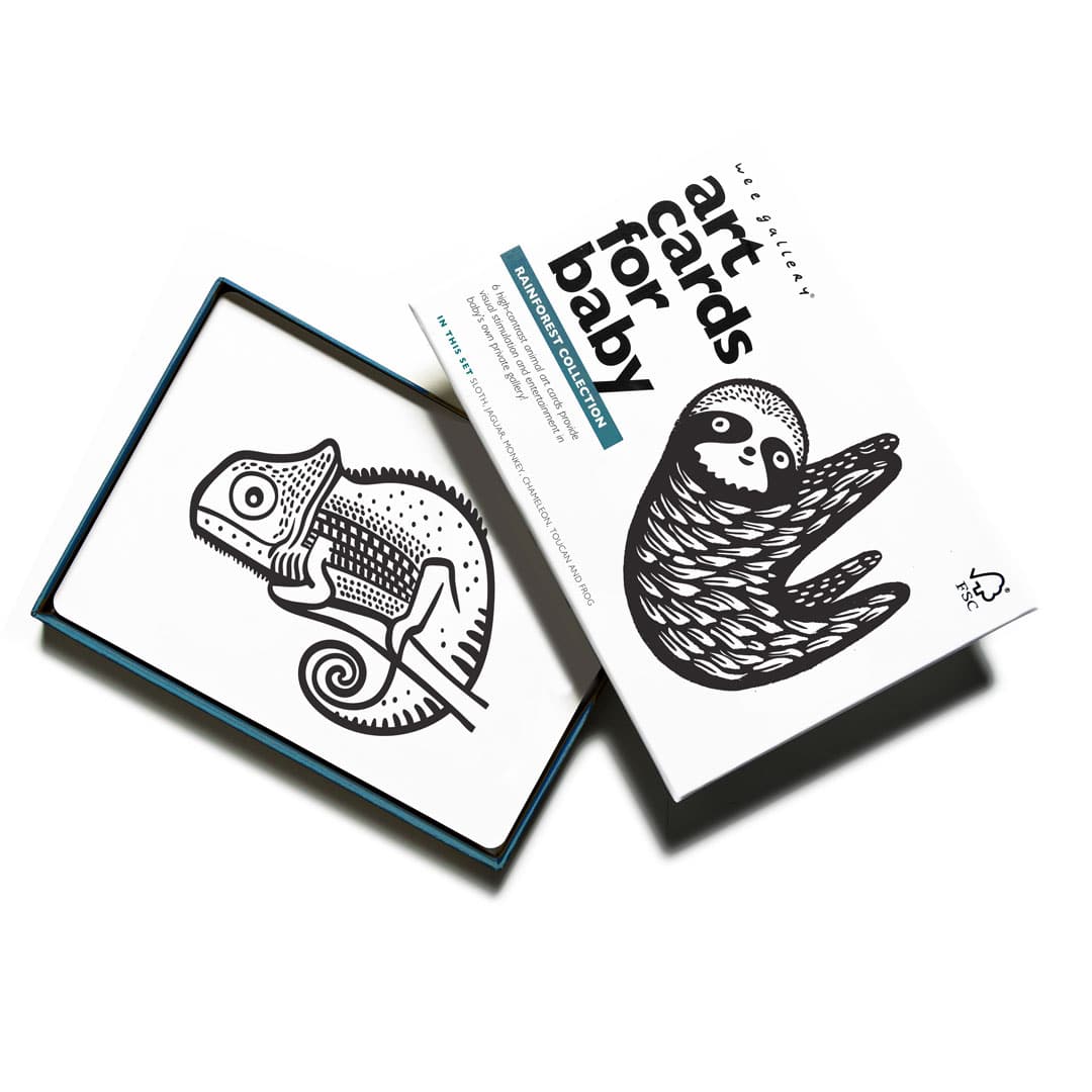 Wee Gallery Art Cards for Baby - Rainforest