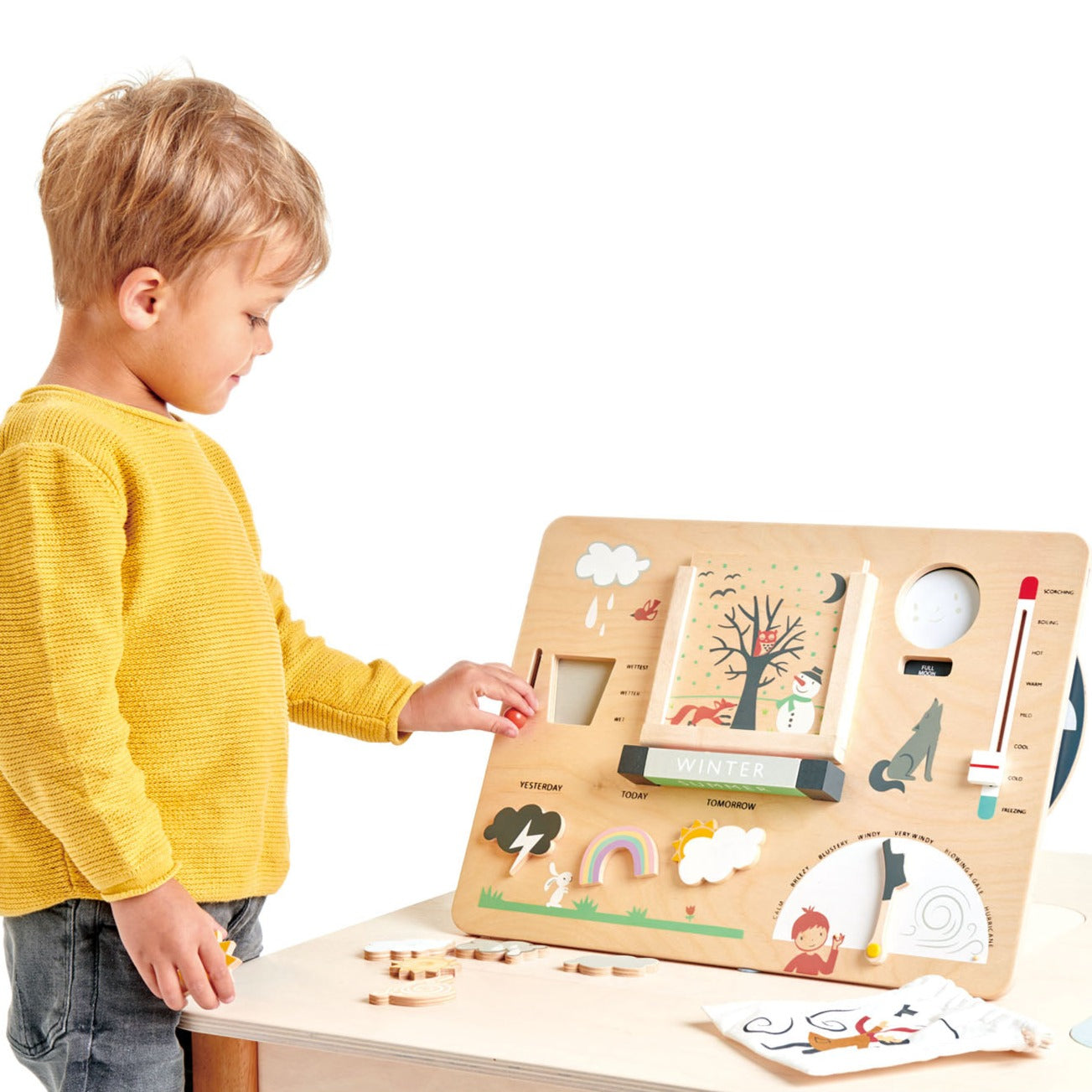 Tender Leaf Toys Weather Watch