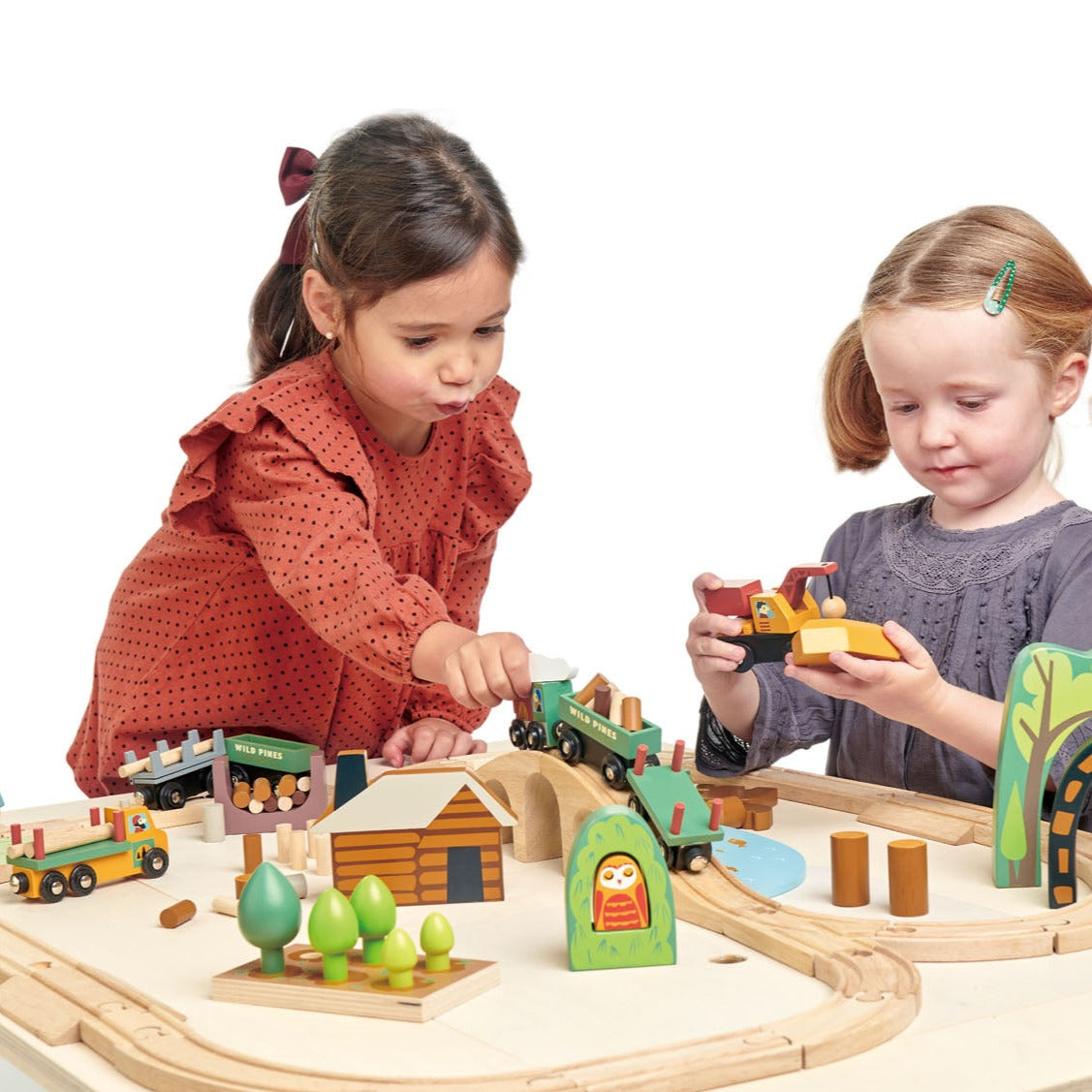 Tender Leaf Toys Wild Pines Train Set