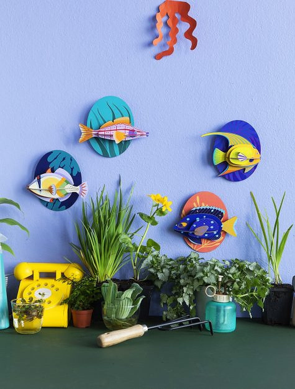 Studio Roof 3D Model Wall Decor - Picasso Fish