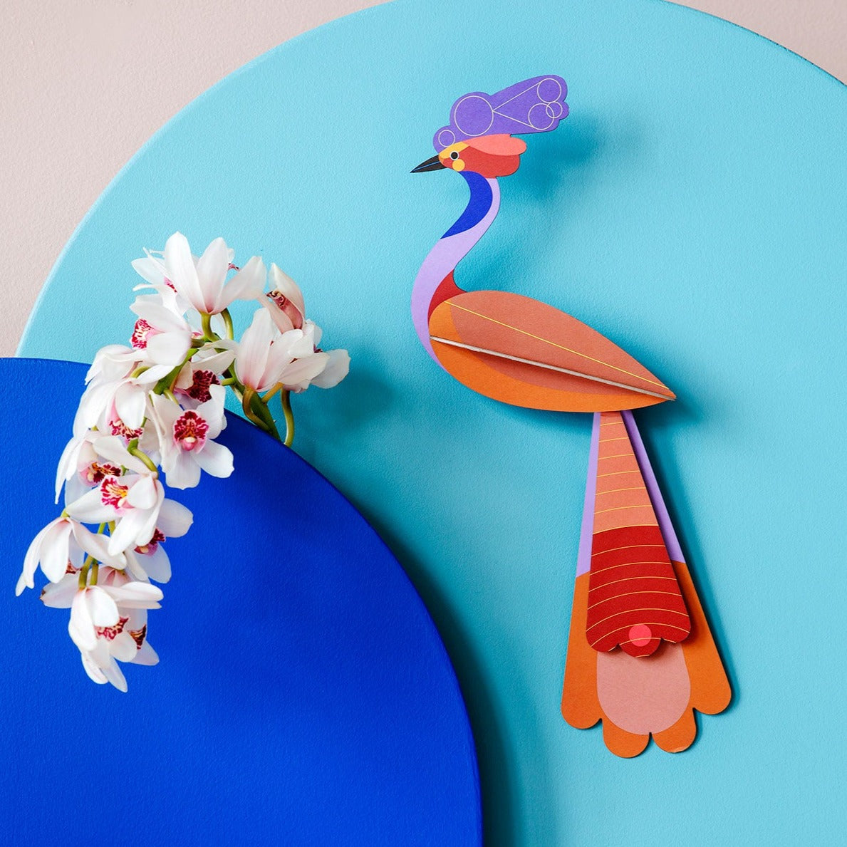 Studio Roof 3D Model Wall Decor - Paradise Bird - Savu