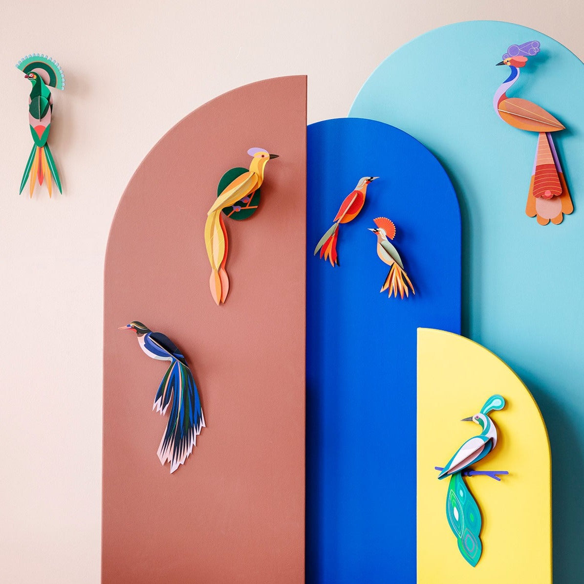 Studio Roof 3D Model Wall Decor - Paradise Bird - Fiji