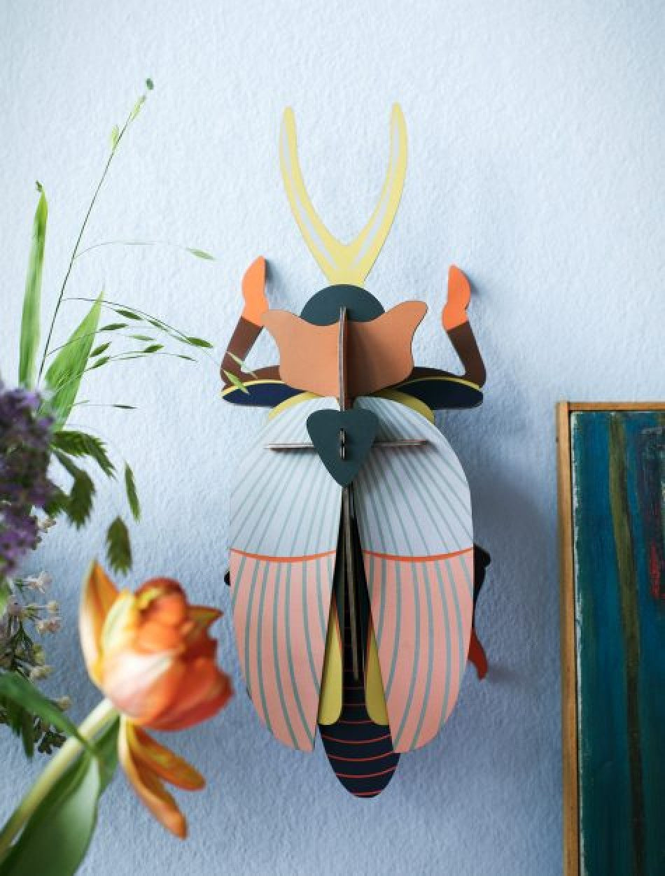 Studio Roof 3D Model Wall Decor - Rhinoceros Beetle