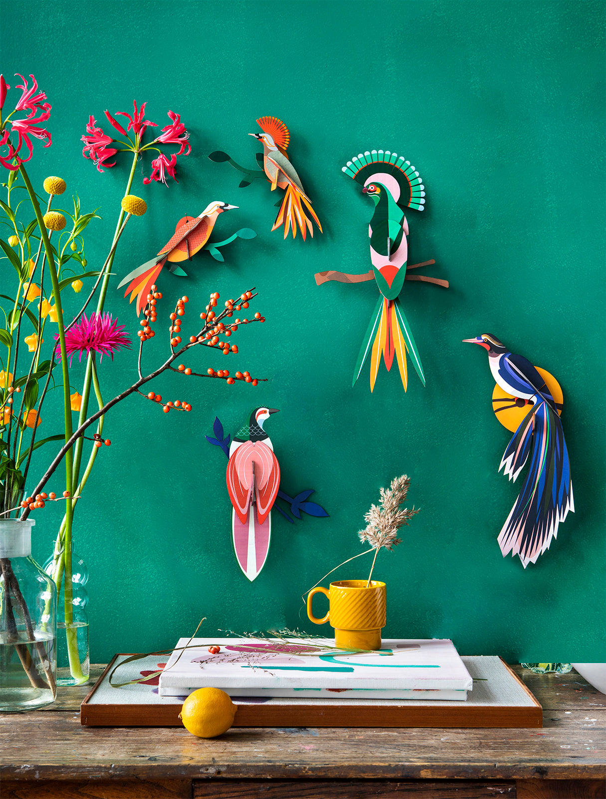 Studio Roof 3D Model Wall Decor - Paradise Bird - Gili