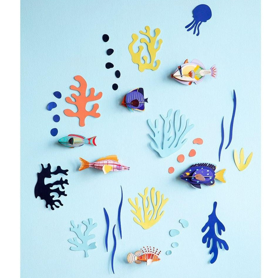 Studio Roof 3D Model Wall Decor - Wall of Curiosities - Fish Hobbyist