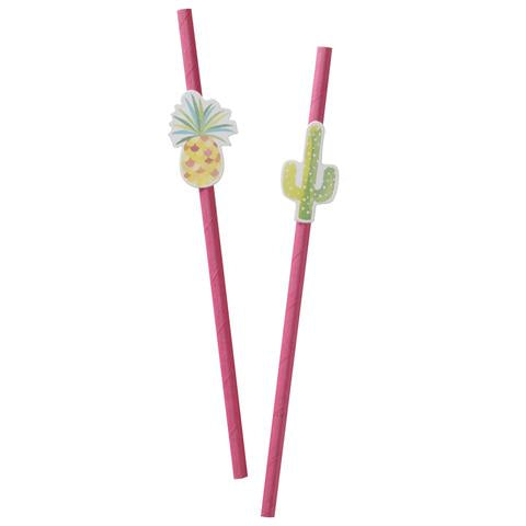Paper Straws 16 Pack - Cactus & Pineapples By Ginger Ray
