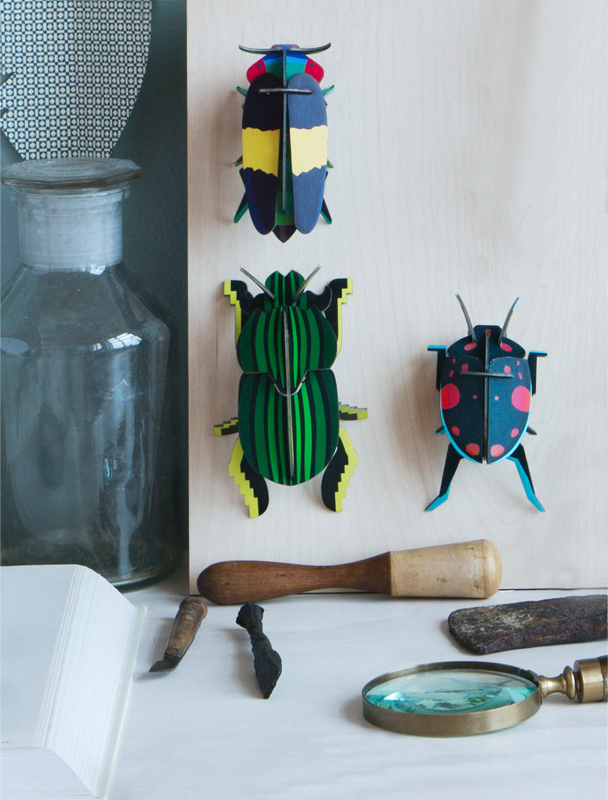Studio Roof 3D Model Wall Decor - Scarab Beetle