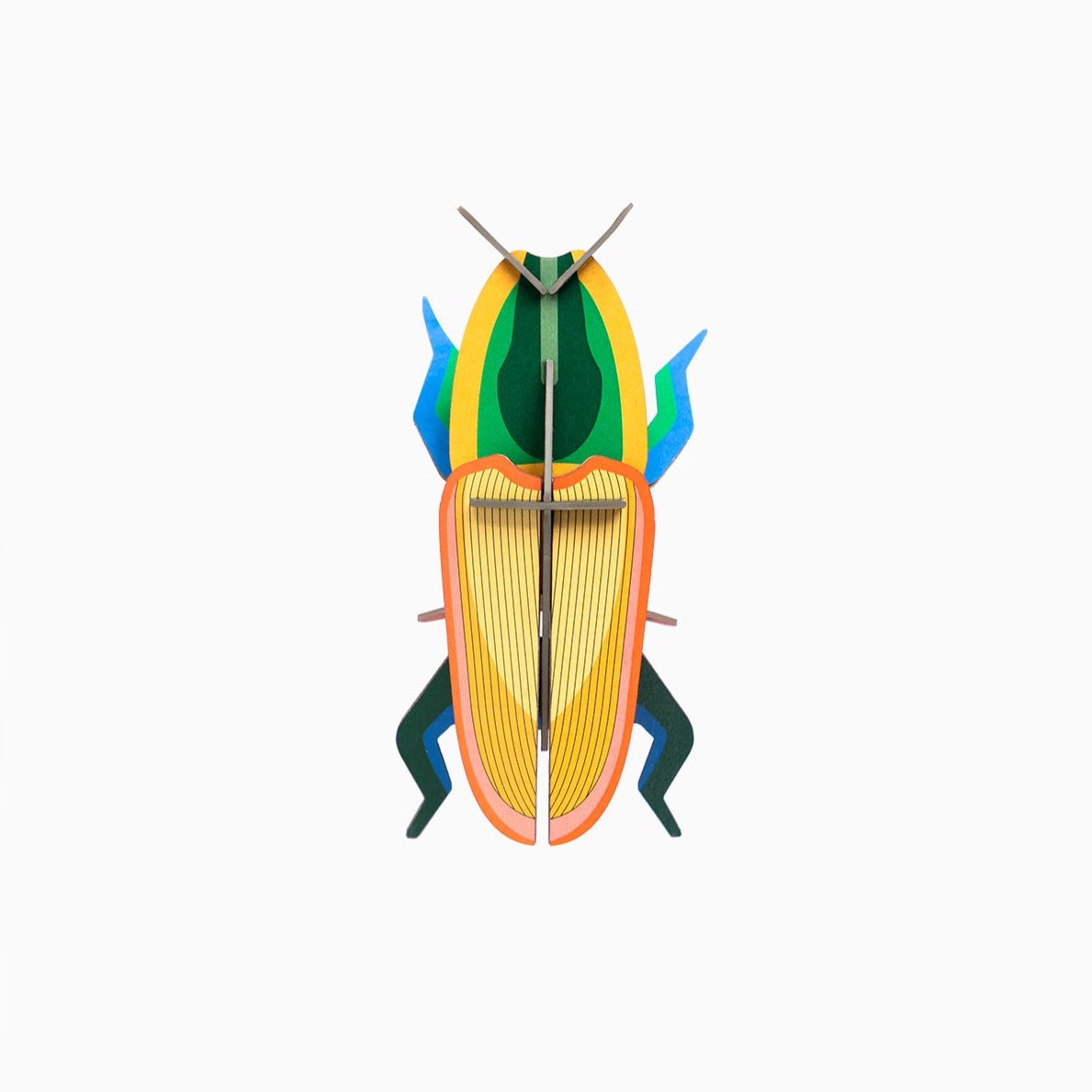 Studio Roof 3D Model Wall Decor - Madagascar Beetle