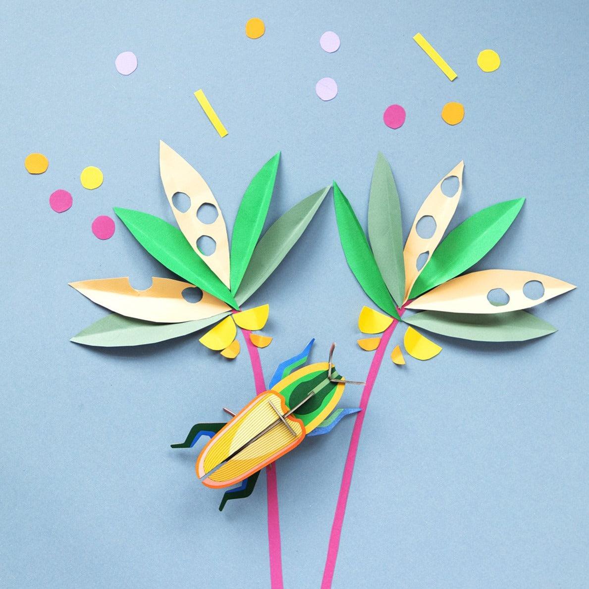 Studio Roof 3D Model Wall Decor - Madagascar Beetle