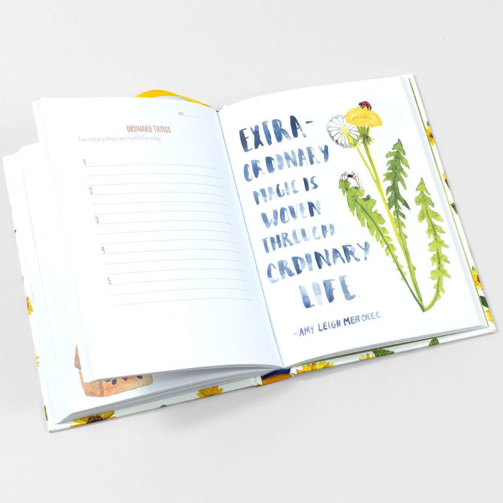 Little Truth's Studio 'Life of Gratitude' Journal | Soren's House