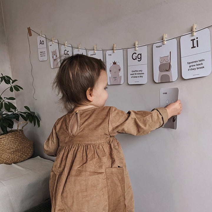 Animal Alphabet Flashcards by Paper & Bean