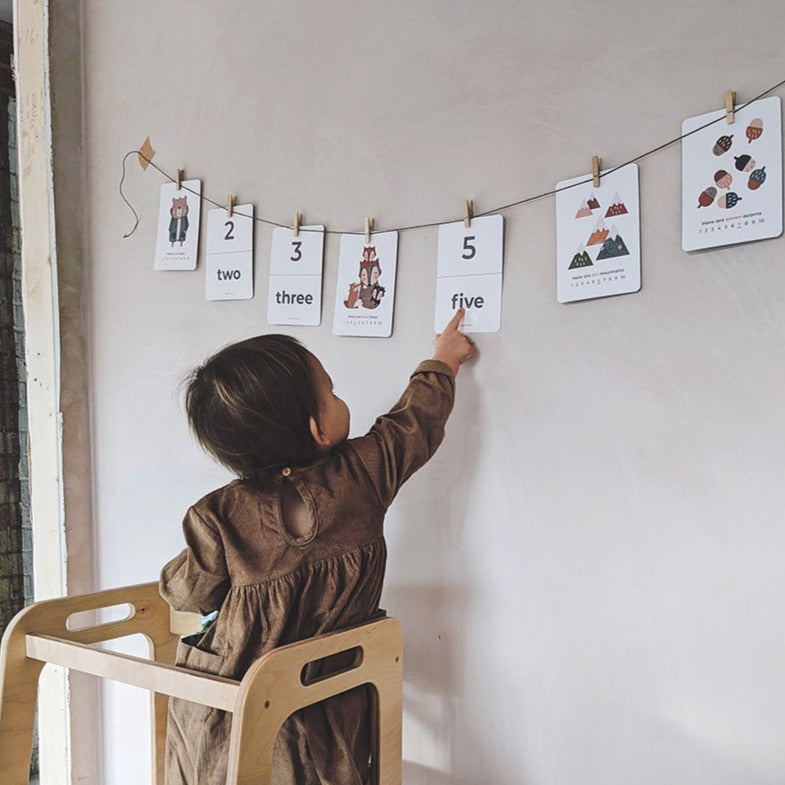 Woodland Number Flashcards by Paper & Bean