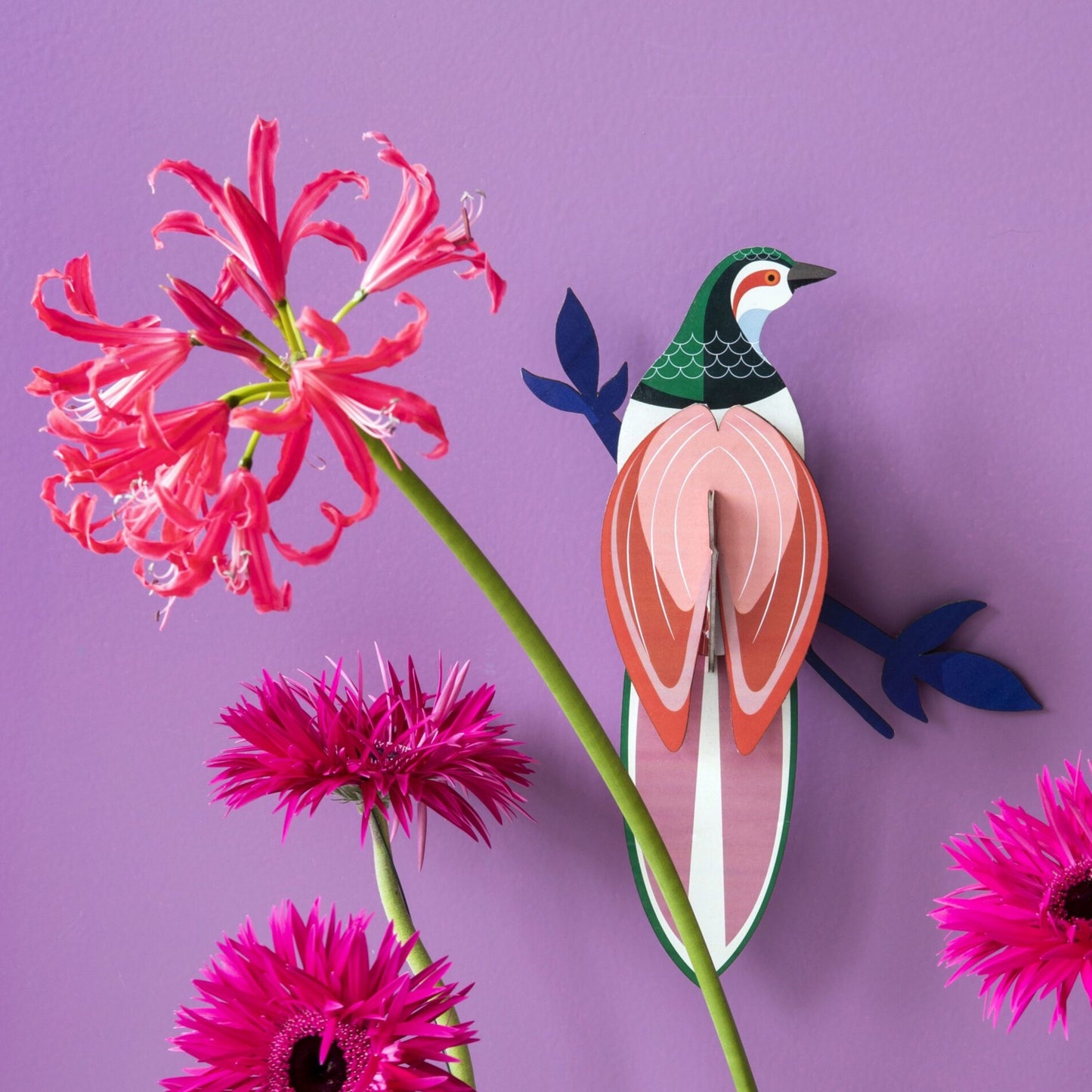 Studio Roof 3D Model Wall Decor - Paradise Bird - Rani