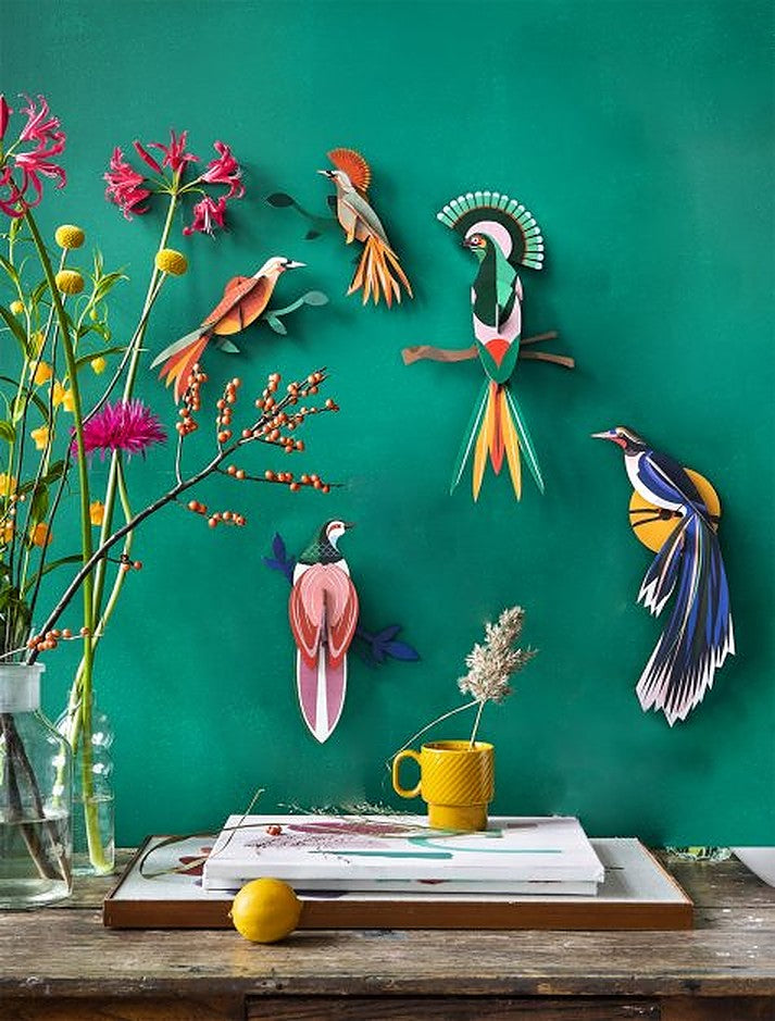 Studio Roof 3D Model Wall Decor - Paradise Bird - Rani