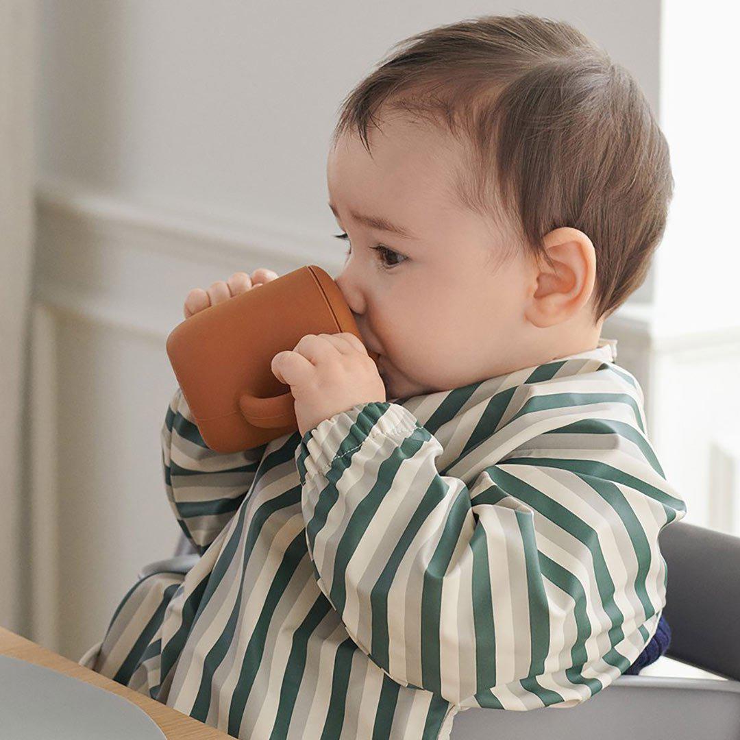 What Are The Baby Weaning Essentials?