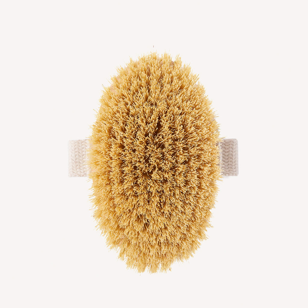 Wild & Stone Natural Bristle Dry Body Brush