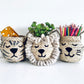 Bellybambino Natural Tiger Seagrass Basket - Mini