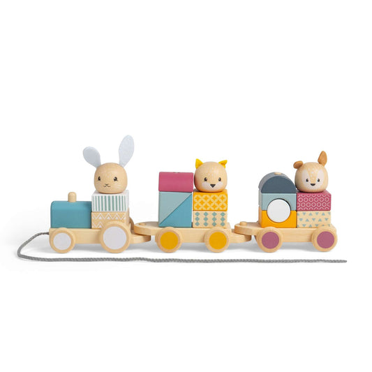 Bigjigs Wooden Activity Pull-Along Train