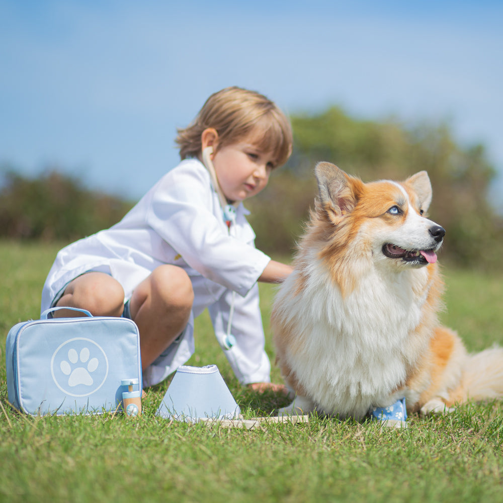 Bigjigs Wooden Veterinary Play Set