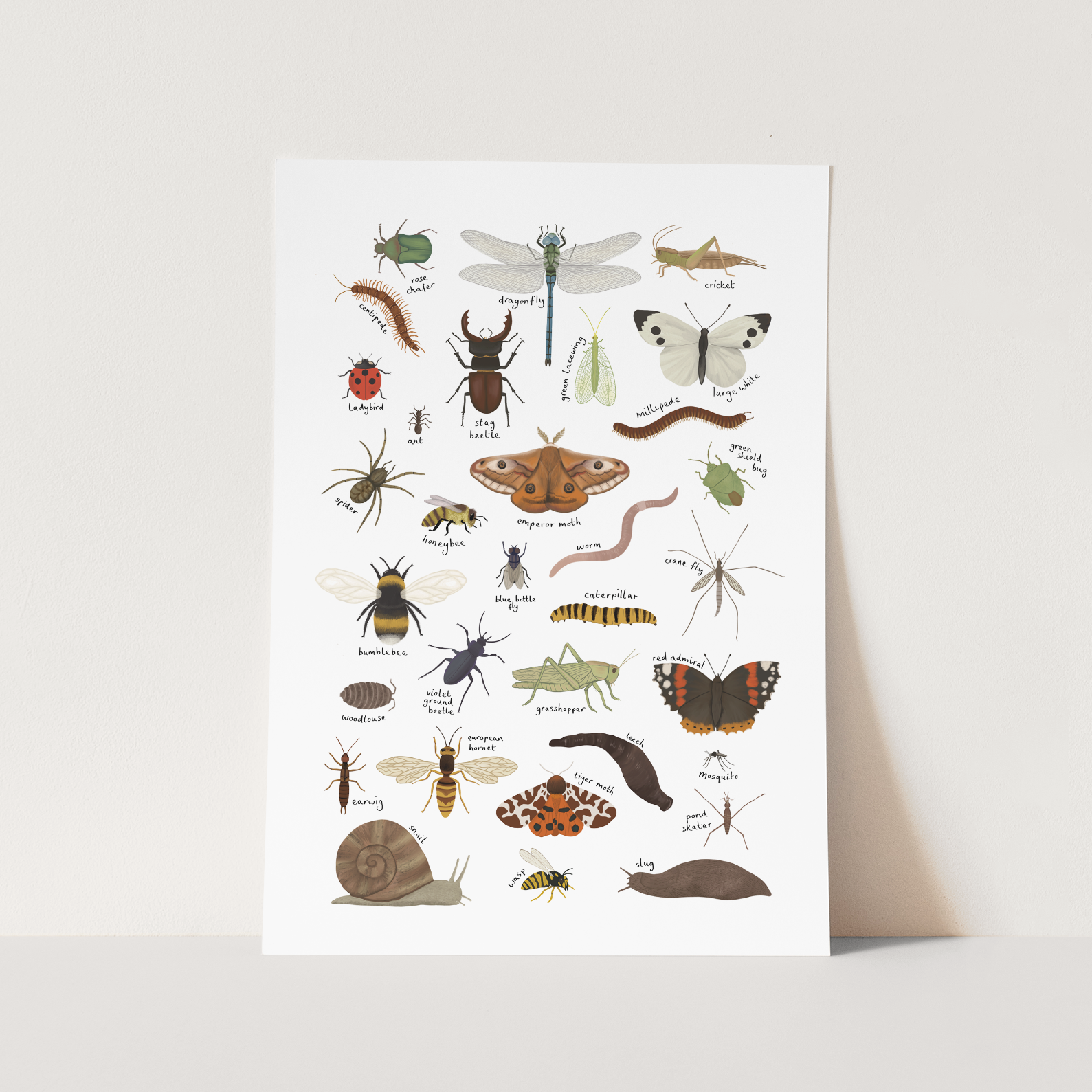 Kid of the Village Minibeasts Art Print - White