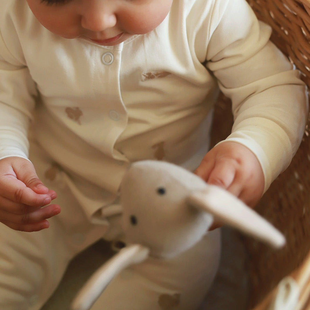 Avery Row Embroidered Baby Sleepsuit - Bunnies