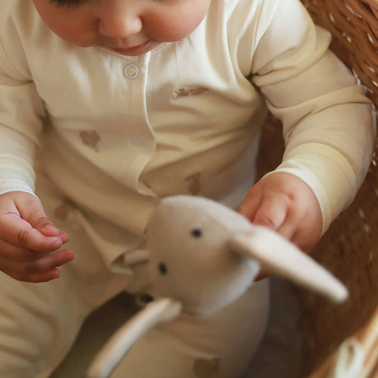 Avery Row Embroidered Baby Sleepsuit - Bunnies