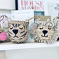 Bellybambino Natural Tiger Seagrass Basket - Mini