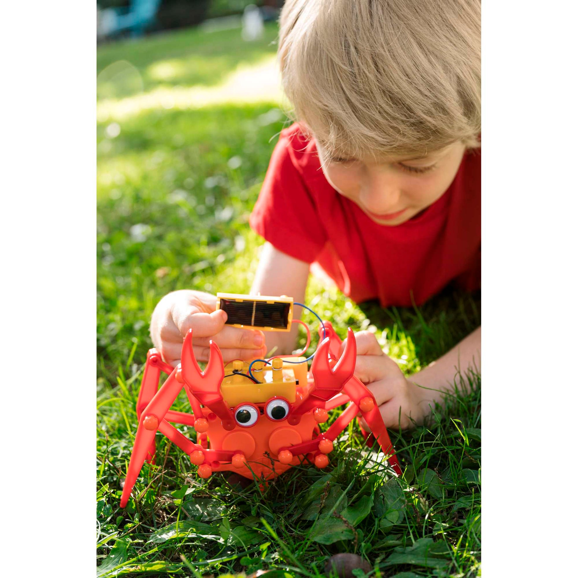 Green Science - Hybrid Crabot by 4M