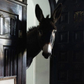 Lorena Canals Washable Rug - Hector the Donkey