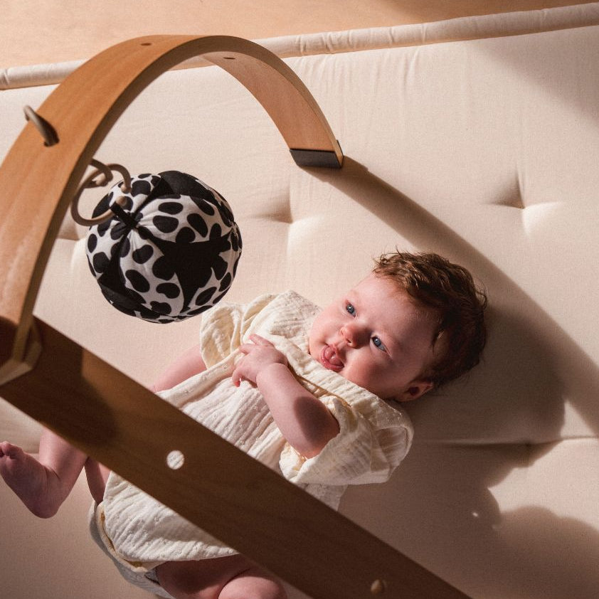 Etta Loves Baby Sensory Ball - Dalmatian