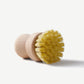 Wild & Stone Wooden Pot Brush