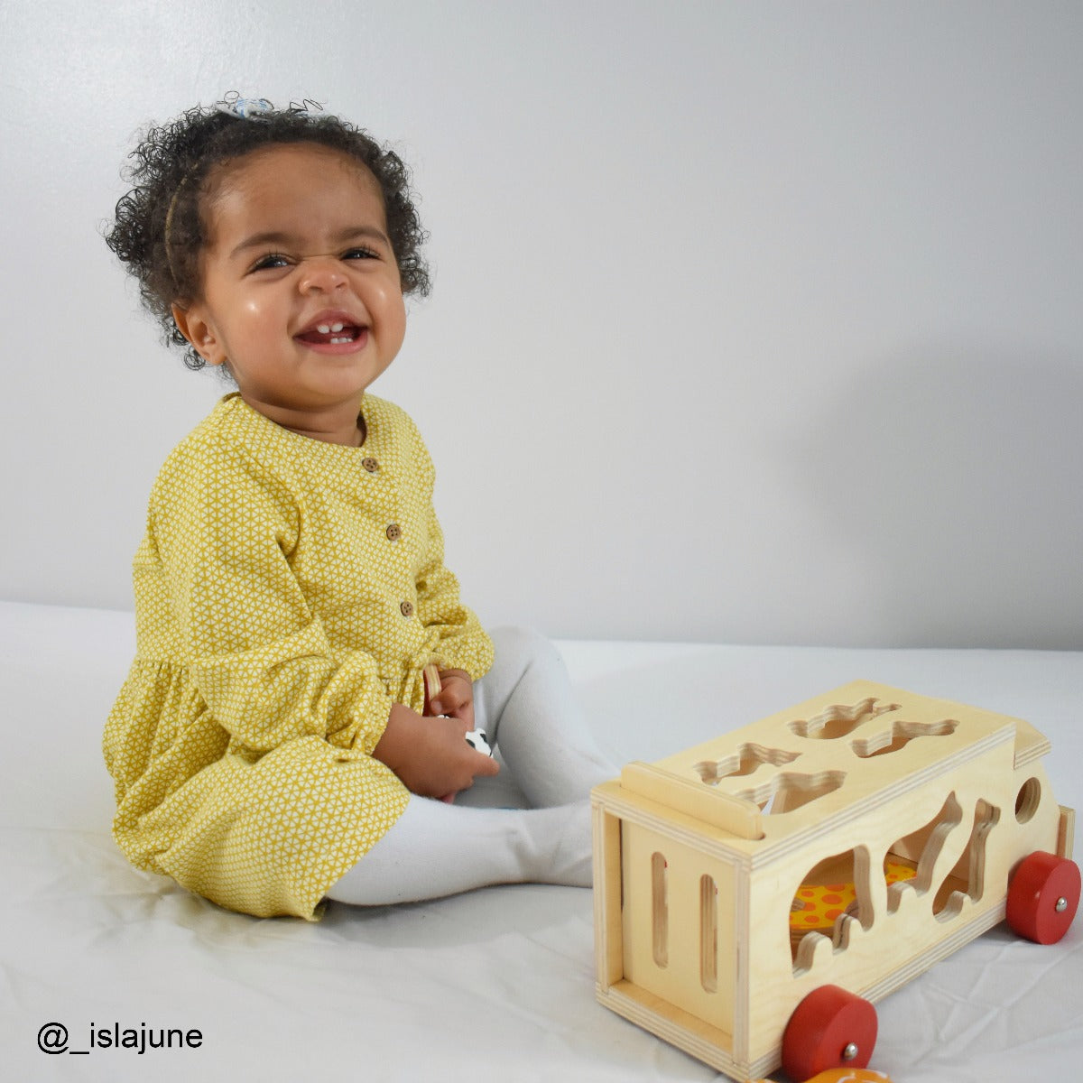 Bigijgs Wooden Animal Shape Sorter Lorry