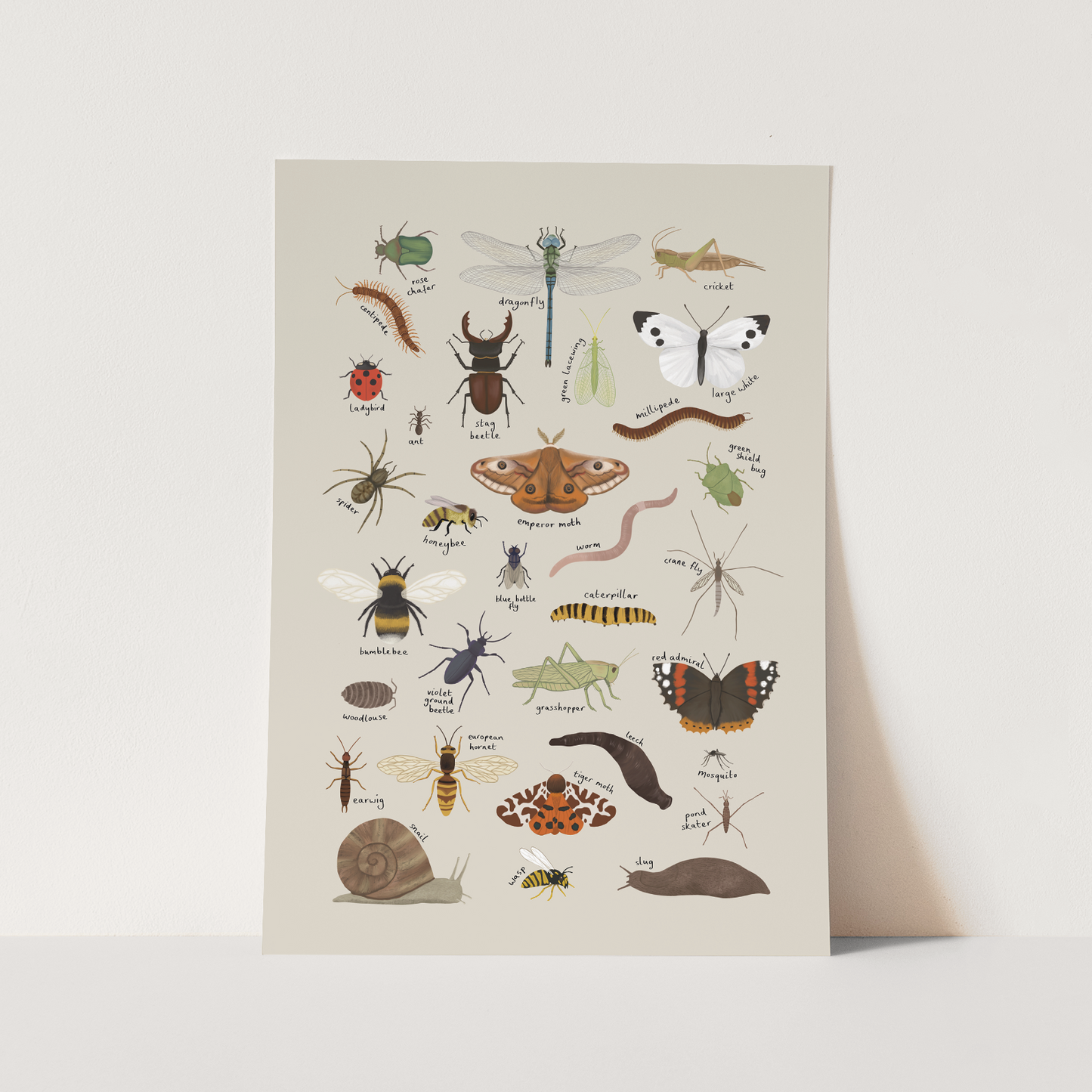 Kid of the Village Minibeasts Art Print - Stone